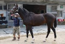 ��Ű���丮 (LUCKY FACTORY) ����