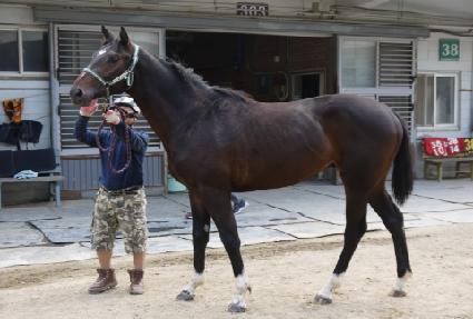 ��Ű���丮 ����