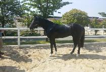 �мǿ��긶�� (FASHION OF MARINE) ����