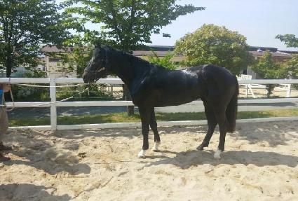 �мǿ��긶�� ����