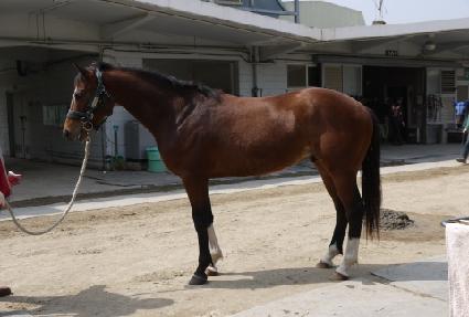 ��Ʈ��ĸƾ ����