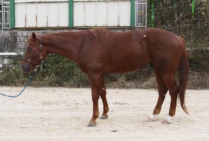 ���̳�ĸƾ ����