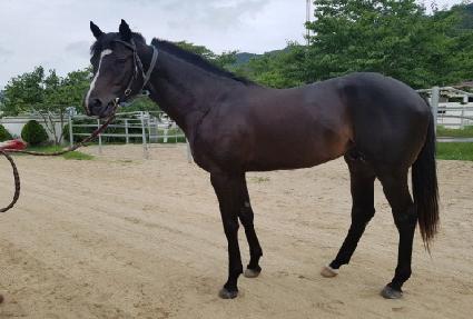 �߾� ����