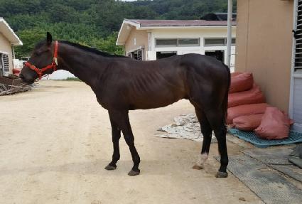 �ź��Ѻ� ����