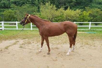 ��Ÿ��� ����