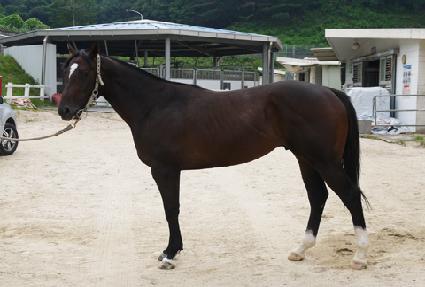 ���ĭ ����