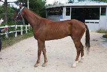 �������� (JEONGMUN Y) ����