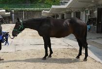 ����Ŀ� (BAEKDU POWER) ����