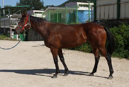 ����Ƚ��� ����