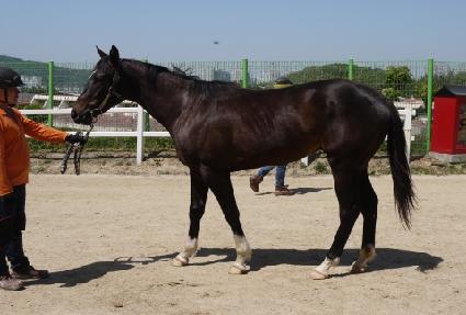 ��ǳ������ ����