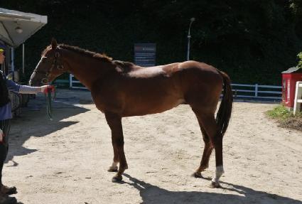 ��������� ����