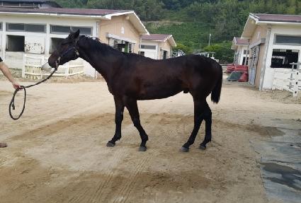 ���ǿ� ����