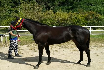 Ʈ���ð�� ����