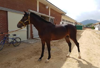 �۽�Ʈ���丮 ����