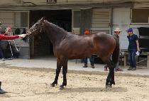 ������ķ�� (SMILE CAMP) ����