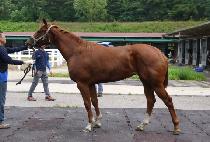 �̸���ũ (MIR PARK) ����