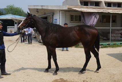 ������ ����