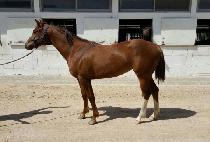 SEOLGWANGHWA picture