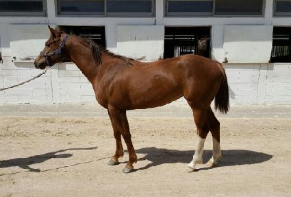 ����ȭ ����