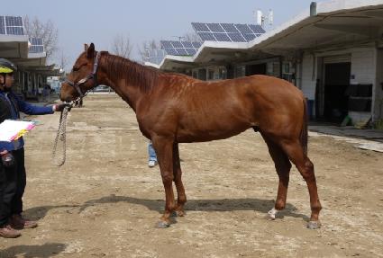 �ش޷� ����