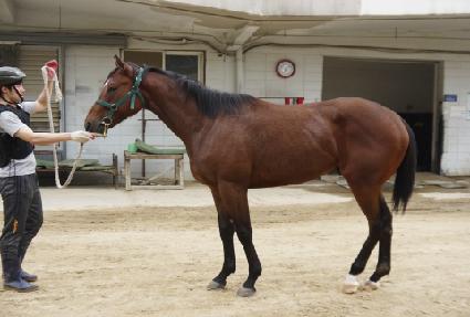 ���ǵ�û�� ����