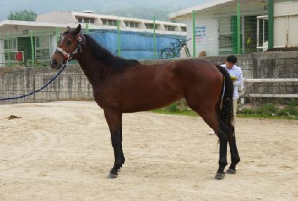 ĸƾ�� ����