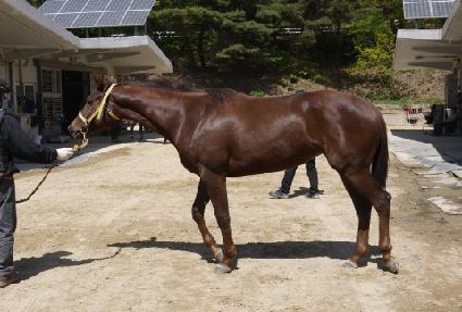 �����丮�� ����