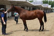 ��Ÿ���� (STAR RULES) ����