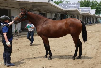 ��Ÿ���� ����