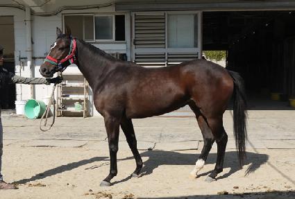 ���Ͻ� ����