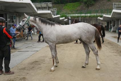 �׷��̰����� ����