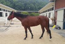 �ӴϺ���Ȧ (MONEY BLACK HOLE) ����