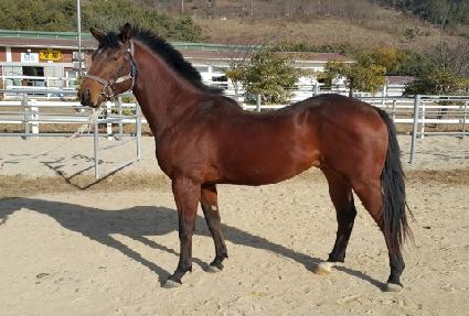 õ��ŷ�� ����