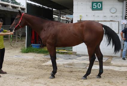 �μտ��� ����