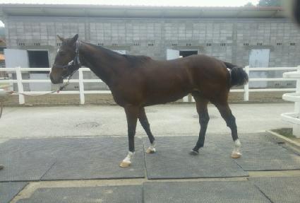 ����̴޸��� ����