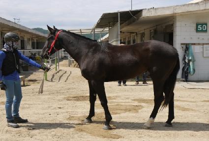 �������� ����