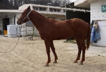 ��Ű��ȭ (LUCKY BONGHWA) ����