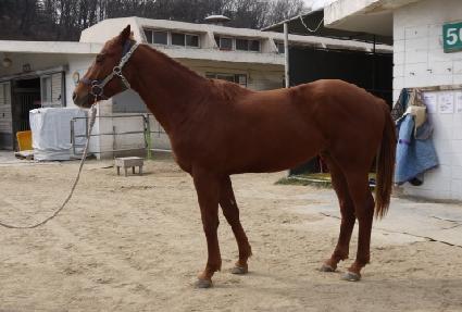 ��Ű��ȭ ����