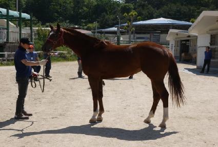 ������� ����