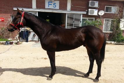 ���������� ����