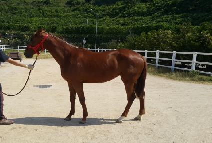 �Ҽ��ִ� ����