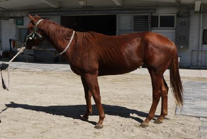 �����¡�� ����