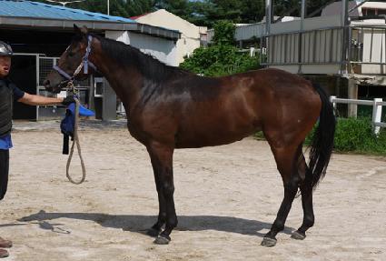 ���� ����