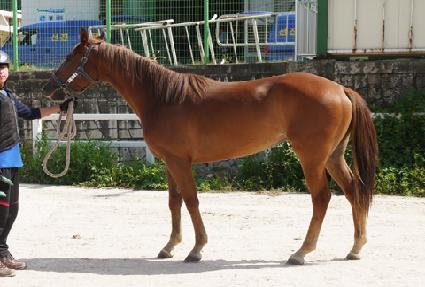 �˷����ν� ����