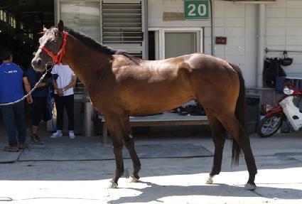 �������ǿ� ����