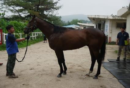 ���Ͻ¸� ����