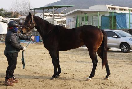 ����õ�� ����