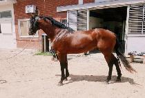 �۾Ǹ��� (SONGAK MYEONGJANG) ����