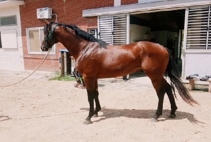 �۾Ǹ��� ����