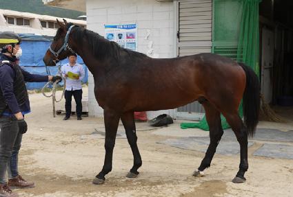 �ο�ȣ���� ����